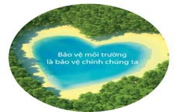 Ăn chay thường (vegetarian) hay ăn chay thuần (vegan) góp phần bảo vệ môi trường?